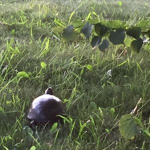 Meet your Posher, Claire